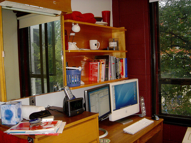 233013707 8e4d72892d z