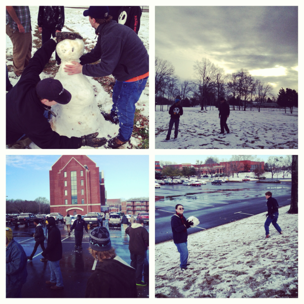 IMG 5117 resized 600