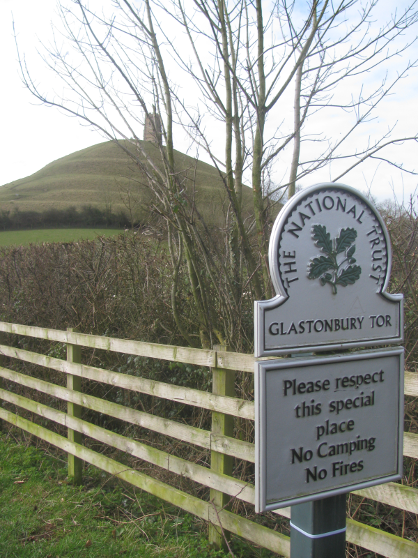 IMG 0085 resized 600