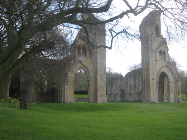 IMG 0106 resized 600