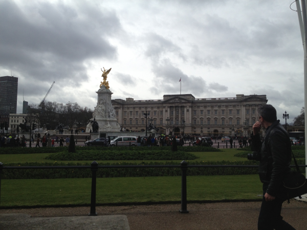 IMG 6308 resized 600