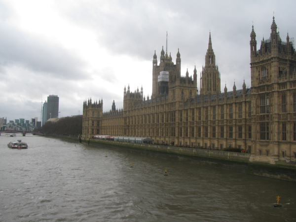 IMG 0353 resized 600