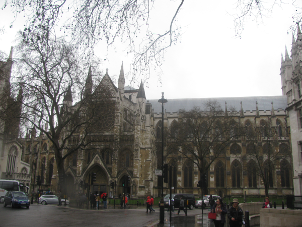 IMG 0423 resized 600