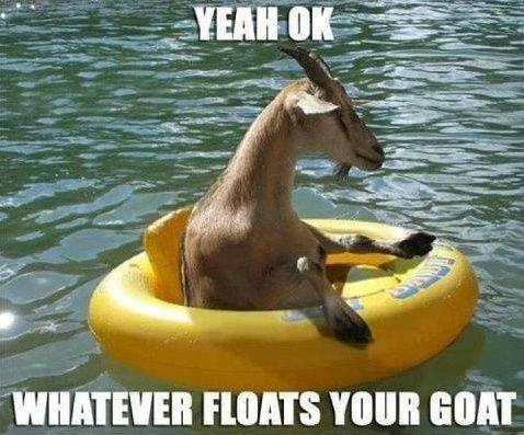 Float Your Goat