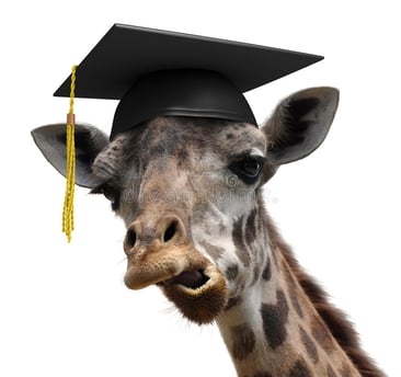 unusual-animal-portrait-goofy-giraffe-college-graduate-student-funny-picture-who-just-graduated-university-wearing-graduation-50112273